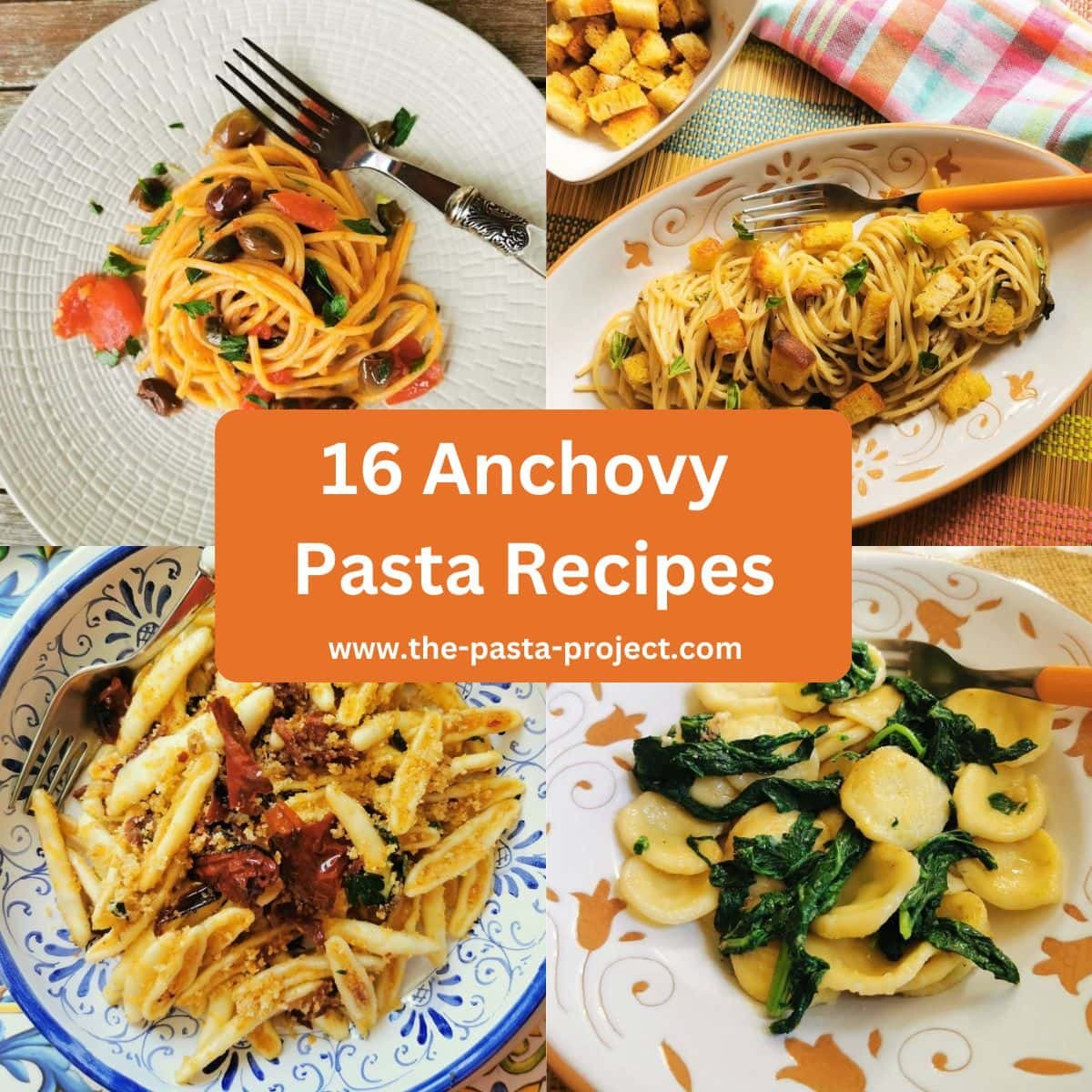 16 Pasta with anchovy recipes – The Pasta Project