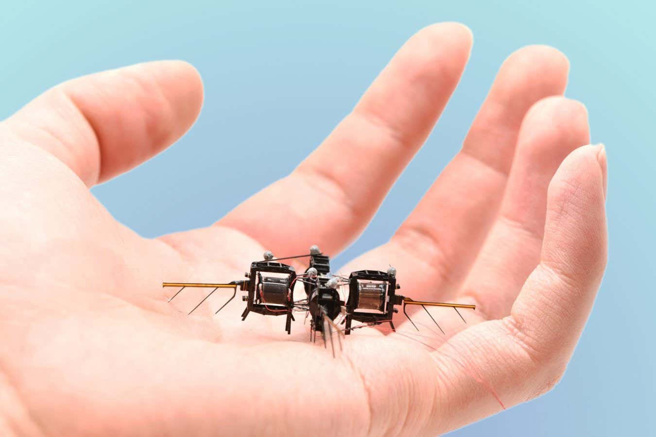 Small insect-like robot can flip, loop and hover for up to 15 minutes