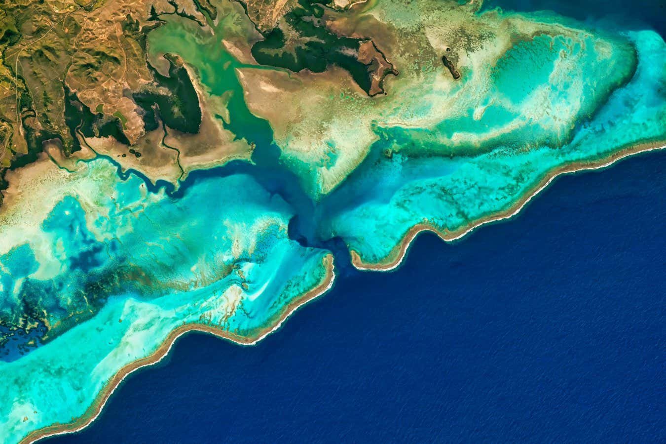 There may be a surprising top to lose coral reef as oceans hot