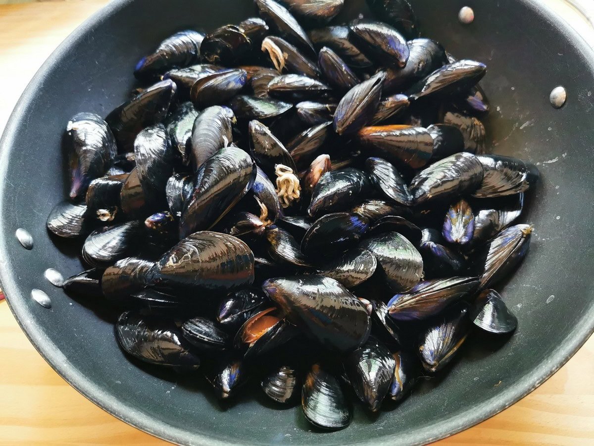 Washed and cleaned mussels ready to cook in deep drawing buckets.