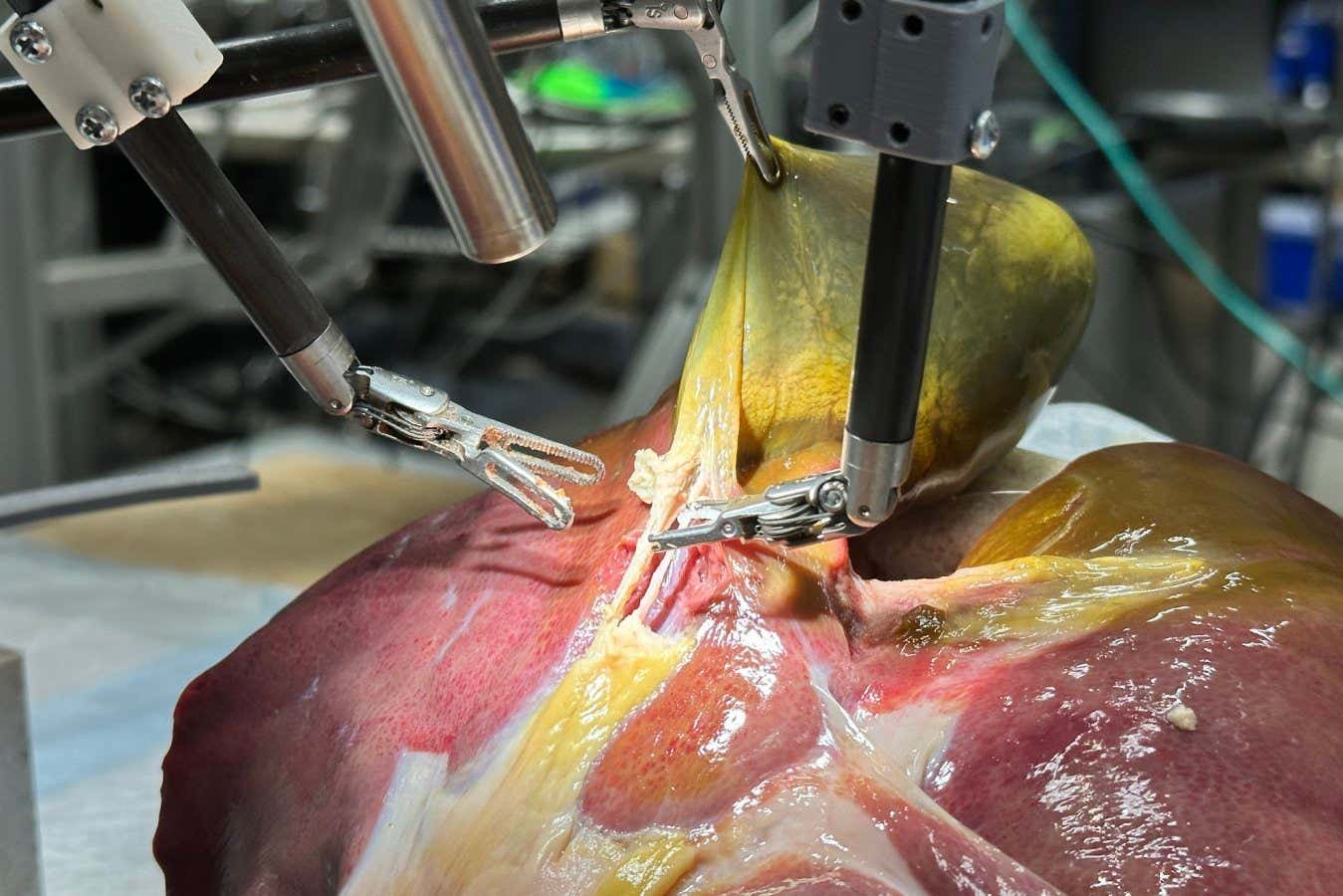 Surgical tag steps toward fully autonomous operations