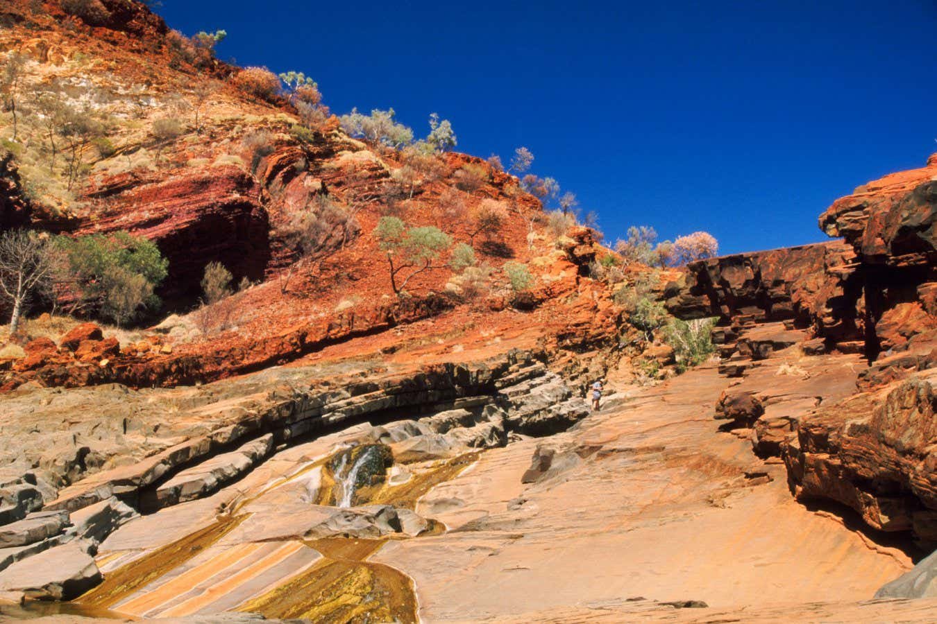 Old cliffs show earliest proof of tectonic activity on earth